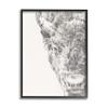 Stupell Industries Detailed Graphite Bison Rural Farm Animal Drawing Framed Wall Art, Design By Ethan Harper view 1