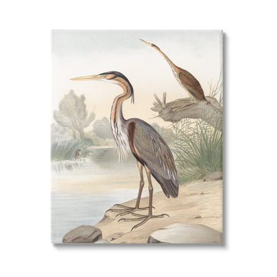 Stupell Industries Wild Heron Birds Perched Scenic Grassy Creek Canvas Wall Art, Design By Piddix