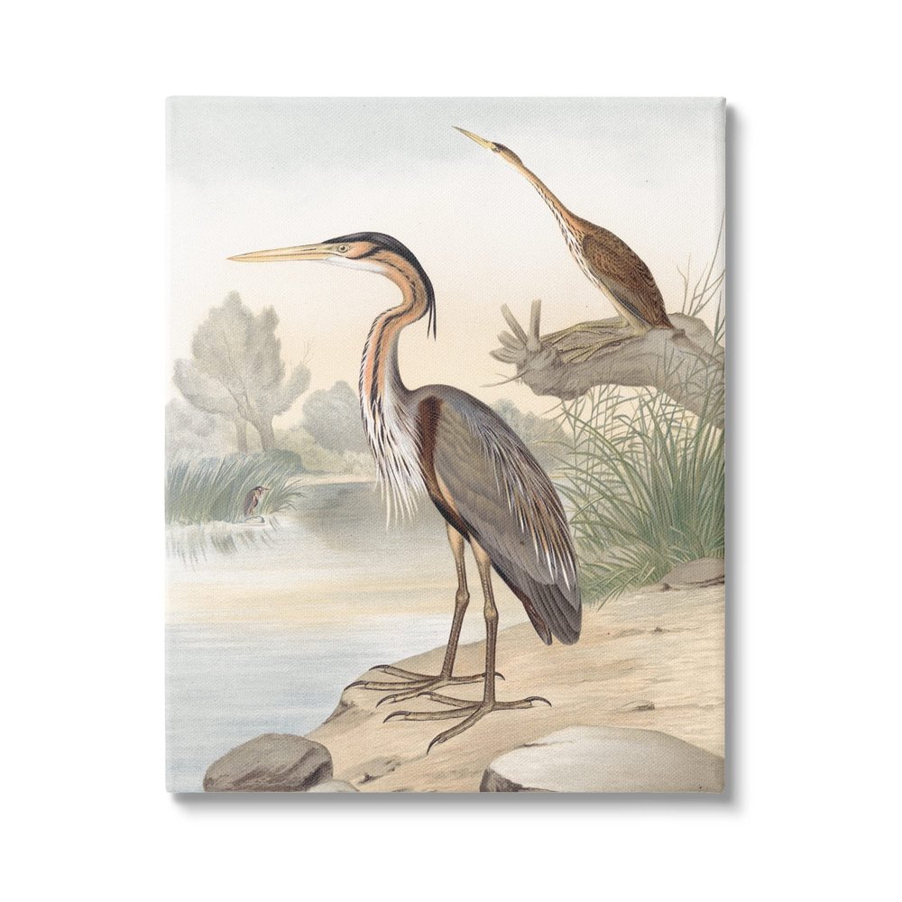Stupell Industries Wild Heron Birds Perched Scenic Grassy Creek Canvas Wall Art, Design By Piddix