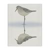 Stupell Industries Tranquil Sandpiper Bird Reflection Shallow Beach Shoreline Canvas Wall Art, Design By Ziwei Li view 1