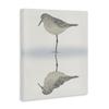 Stupell Industries Tranquil Sandpiper Bird Reflection Shallow Beach Shoreline Canvas Wall Art, Design By Ziwei Li view 4