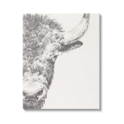 Stupell Industries Rural Bison Animal Drawing Detailed Graphite Wildlife Canvas Wall Art, Design By Ethan Harper