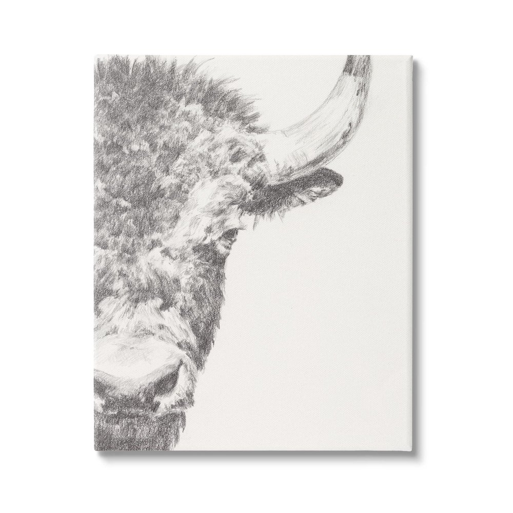 Stupell Industries Rural Bison Animal Drawing Detailed Graphite Wildlife Canvas Wall Art, Design By Ethan Harper