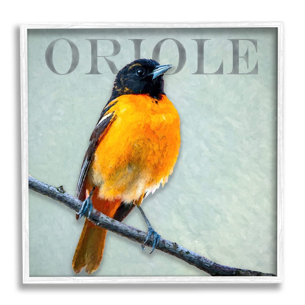 Stupell Industries Detailed Oriole Bird Portrait Perched Wildlife Animal Framed Wall Art, Design by Alpenglow Workshop