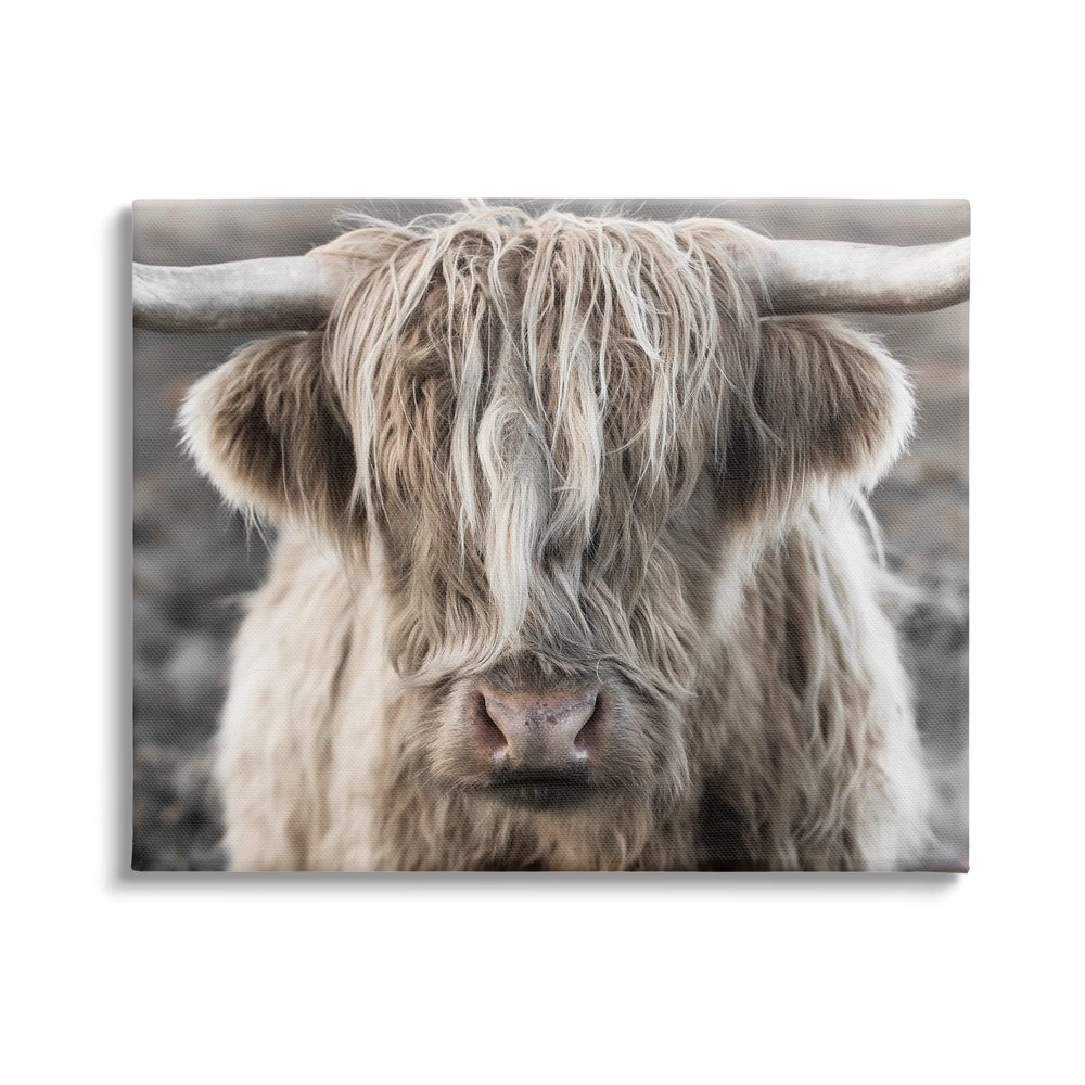 Stupell Industries Detailed Highlands Cattle Rural Farm Animal Photography Canvas Wall Art, Design by Danita Delimont