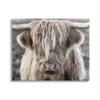 Stupell Industries Detailed Highlands Cattle Rural Farm Animal Photography Canvas Wall Art, Design by Danita Delimont view 1