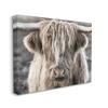 Stupell Industries Detailed Highlands Cattle Rural Farm Animal Photography Canvas Wall Art, Design by Danita Delimont view 2