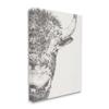 Stupell Industries Rural Bison Animal Drawing Detailed Graphite Wildlife Canvas Wall Art, Design By Ethan Harper view 2