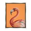 Stupell Industries Tropical Flamingo Bird Portrait Watercolor Detail Floating Framed Wall Art, Design By Patricia Pinto view 1