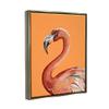 Stupell Industries Tropical Flamingo Bird Portrait Watercolor Detail Floating Framed Wall Art, Design By Patricia Pinto view 2