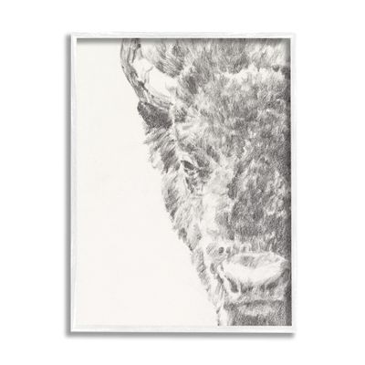 Stupell Industries Detailed Graphite Bison Rural Farm Animal Drawing Framed Wall Art, Design By Ethan Harper