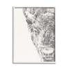 Stupell Industries Detailed Graphite Bison Rural Farm Animal Drawing Framed Wall Art, Design By Ethan Harper view 1