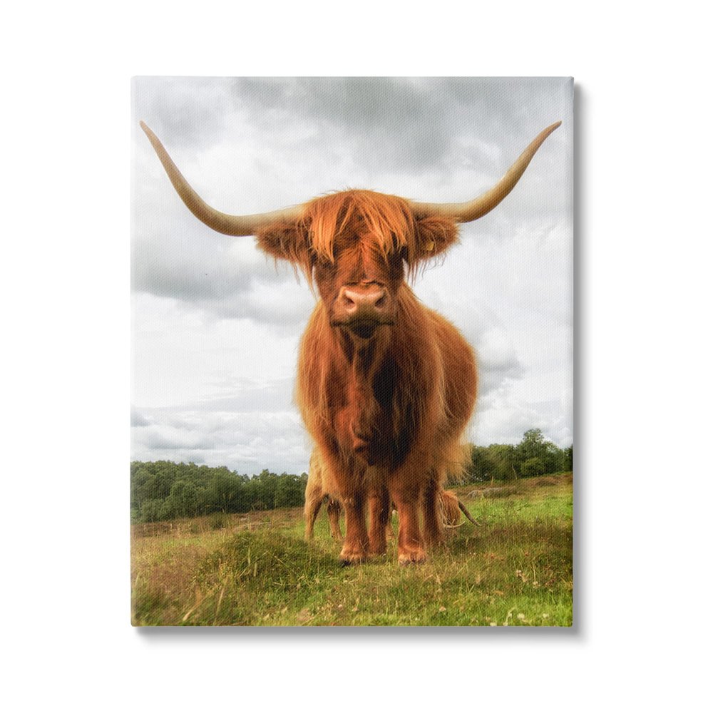 Stupell Industries Highland Cattle Long Horns Grazing Farm Ranch Canvas Wall Art, Design By James Dobson