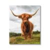 Stupell Industries Highland Cattle Long Horns Grazing Farm Ranch Canvas Wall Art, Design By James Dobson view 1