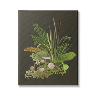 Stupell Industries Natural Forest Floor Botanical Arrangement Mixed Mushrooms Ferns Canvas Wall Art, Design By House of Rose