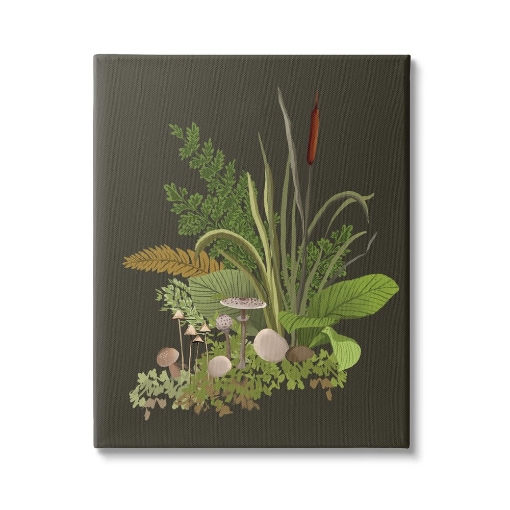 Stupell Industries Natural Forest Floor Botanical Arrangement Mixed Mushrooms Ferns Canvas Wall Art, Design By House of Rose