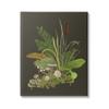 Stupell Industries Natural Forest Floor Botanical Arrangement Mixed Mushrooms Ferns Canvas Wall Art, Design By House of Rose view 1