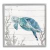 Stupell Industries Swimming Sea Turtle Coral Beach Plank Design Framed Wall Art, Design By Carol Robinson view 1