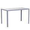 47" Glass Dining Table with Tempered Glass Top and Metal Legs, Small Space Glass Kitchen Table for Apartment Kitchen, Dining Room view 4
