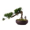 UNNS Small Bonsai Artificial Plant Simulation Welcome Pine Bonsai Decoration Zen Fake Green Plant Bonsai Hotel Tea Room Study Decoration Fake Tree Artificial Potted Plants view 1