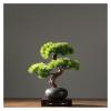 Artificial Plants Artificial Bonsai Pine Tree with Wooden Base, 15.7Inch Faux Potted Plant Desk Display Fake Tree Pot Ornaments, Japanese Cedar Bonsai Plant for Home, Office Decoration Bonsai Pine Tre view 1