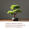 Artificial Plants Artificial Bonsai Pine Tree with Wooden Base, 15.7Inch Faux Potted Plant Desk Display Fake Tree Pot Ornaments, Japanese Cedar Bonsai Plant for Home, Office Decoration Bonsai Pine Tre view 2