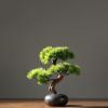 Artificial Plants Artificial Bonsai Pine Tree with Wooden Base, 15.7Inch Faux Potted Plant Desk Display Fake Tree Pot Ornaments, Japanese Cedar Bonsai Plant for Home, Office Decoration Bonsai Pine Tre view 3
