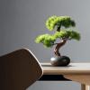 Artificial Plants Artificial Bonsai Pine Tree with Wooden Base, 15.7Inch Faux Potted Plant Desk Display Fake Tree Pot Ornaments, Japanese Cedar Bonsai Plant for Home, Office Decoration Bonsai Pine Tre view 4