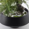 UNNS Small Bonsai Artificial Plant Bonsai Simulation Fine Leaf Green Plant Potted Plant Decoration Porch Living Room Office Tea House Bonsai Soft Decoration Decoration Artificial Potted Plants view 3
