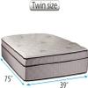 DS Solutions USA Fifth Ave Eurotop Plush Extra Soft Twin Mattress Only with Mattress Protector Included view 2