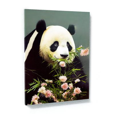 Sense Canvas Panda 4 Canvas Art - Home Decor Wall Art Print Poster Painting Large 30x40 / 1.5"