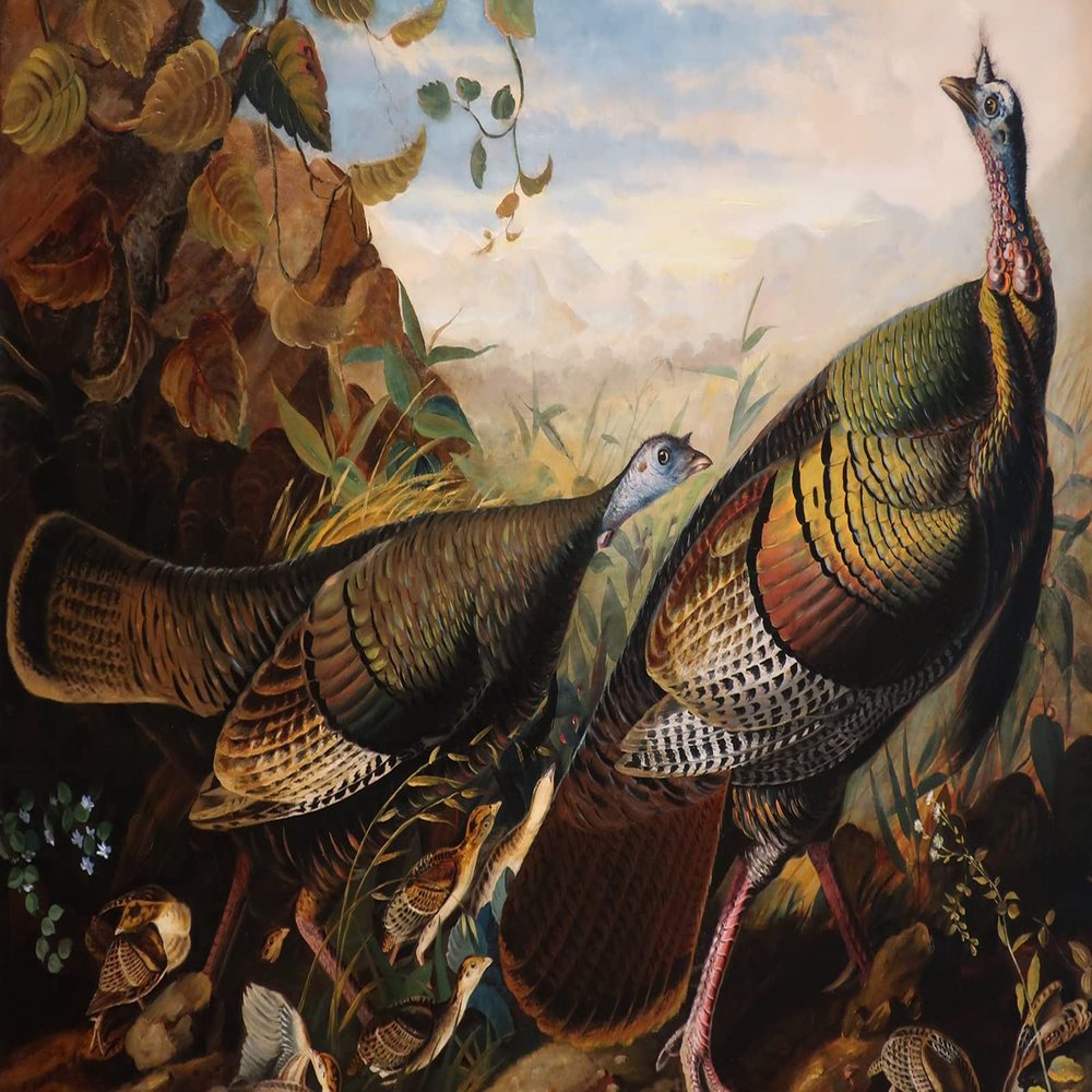 100% Smooth Cotton Paper - John James Audubon - Wild Turkey, Cock Hen and Young (1826) Birds of America Poster Painting Art Print - Size: 18 x 12 Inches