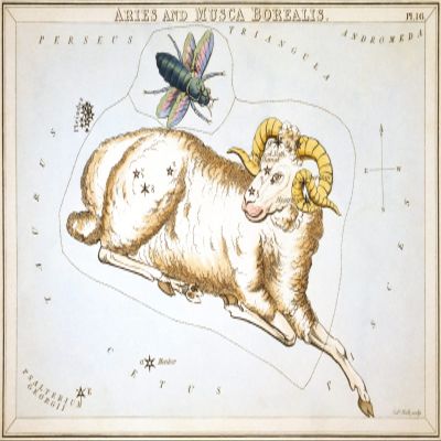 100% Smooth Cotton Paper - Sidney Hall - Urania's Mirror - Aries and Musca Borealis Constellation (1825) Photo Poster Painting Art Print - Size: 18 x 12 Inches