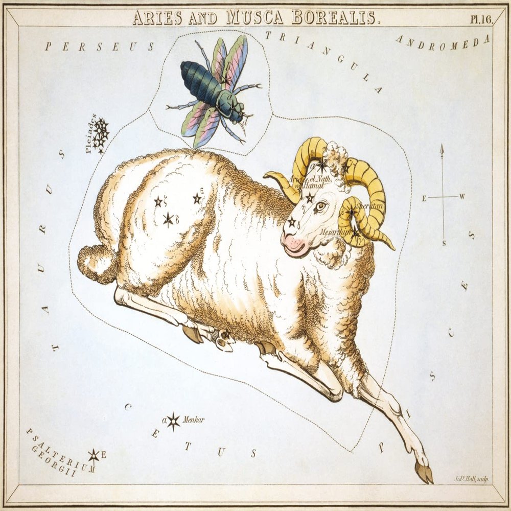 100% Smooth Cotton Paper - Sidney Hall - Urania's Mirror - Aries and Musca Borealis Constellation (1825) Photo Poster Painting Art Print - Size: 18 x 12 Inches