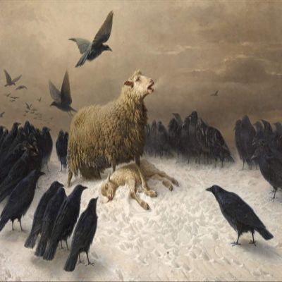 100% Smooth Cotton Paper - August Friedrich Albrecht Schenck - Anguish (1878) - Reproduction of a Beautiful Raven/Sheep Painting - Photo Poster Print Art Gift - Size: 18 x 12 Inches