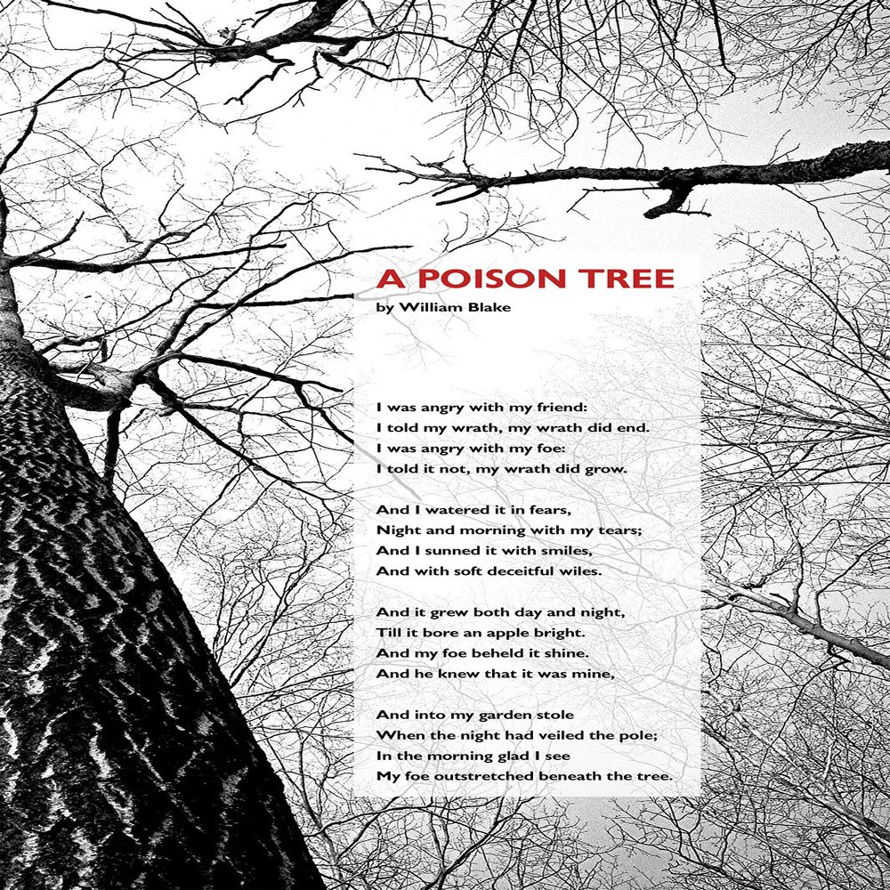 100% Smooth Cotton Paper - William Blake Poem Print - A Poison Tree - Spooky Background - Art Photo Poster Gift - Size: 18 x 12 Inches