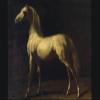 100% Smooth Cotton Paper - Theodore Gericault - Gray Horse (1824) Photo Poster Painting Art Print - Size: 18 x 12 Inches view 1