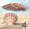 4 Piece 5-6" Lion's Paw Sea Shellfor Baking Smudging Crafts Beach Decor - Ocean Beach Seashells Perfect for Home Decoration, Art Craft, Vase Filler Fish Tank view 1