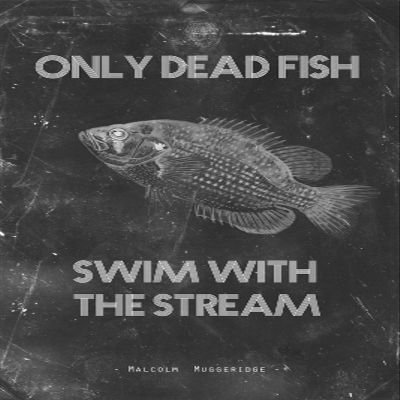 100% Smooth Cotton Paper - Fishing Motivational Poster 09"Only Dead Fish Swim Upstream Photo Print Art Motivation Quote Gift Sailing - Size: 24 x 16 Inches