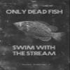 100% Smooth Cotton Paper - Fishing Motivational Poster 09"Only Dead Fish Swim Upstream Photo Print Art Motivation Quote Gift Sailing - Size: 24 x 16 Inches view 1