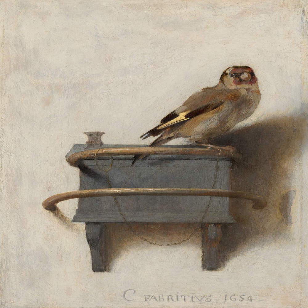 100% Smooth Cotton Paper - Carel Fabritius - The Goldfinch (1654) - Painting Photo Poster Print Art Gift - Size: 24 x 16 Inches