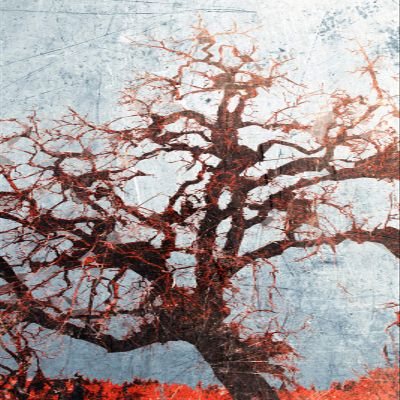 100% Smooth Cotton Paper - Original Abstract Art Oak Tree Glossy Print Artistic Photo Poster Gift Forest Pink Grunge Texture - Size: 24 x 16 Inches