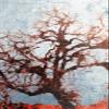 100% Smooth Cotton Paper - Original Abstract Art Oak Tree Glossy Print Artistic Photo Poster Gift Forest Pink Grunge Texture - Size: 24 x 16 Inches view 1