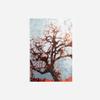 100% Smooth Cotton Paper - Original Abstract Art Oak Tree Glossy Print Artistic Photo Poster Gift Forest Pink Grunge Texture - Size: 24 x 16 Inches view 2