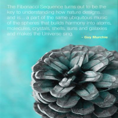 100% Smooth Cotton Paper - Fibonacci Sequence Quote Poster - Maths Numbers Number - Print Photo Art - Size: 24 x 16 Inches