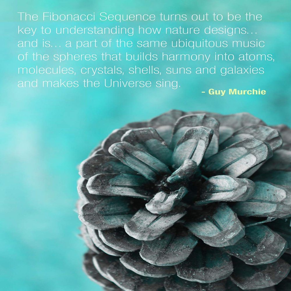 100% Smooth Cotton Paper - Fibonacci Sequence Quote Poster - Maths Numbers Number - Print Photo Art - Size: 24 x 16 Inches