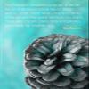 100% Smooth Cotton Paper - Fibonacci Sequence Quote Poster - Maths Numbers Number - Print Photo Art - Size: 24 x 16 Inches view 1