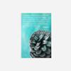 100% Smooth Cotton Paper - Fibonacci Sequence Quote Poster - Maths Numbers Number - Print Photo Art - Size: 24 x 16 Inches view 2