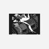 100% Smooth Cotton Paper - Felix Vallotton - Laziness Cat Print (1896) - Painting Photo Poster Print Art Gift - Size: 24 x 16 Inches view 2