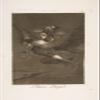 100% Smooth Cotton Paper - Francisco Goya - Plate 64 from Bon Voyage (1799) Photo Poster Painting Art Print - Size: 24 x 16 Inches view 1